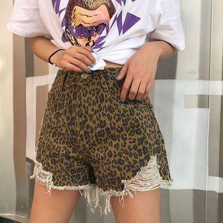 Ripped Leopard Print Shorts