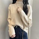 Long-sleeve Mock-neck Plain Cropped Sweater