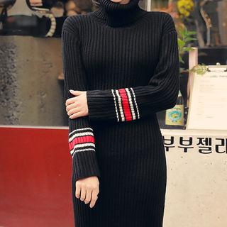 Turtle-neck Ribbed Long Knit Dress