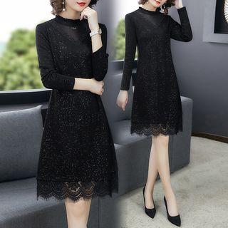 Lace Stand Collar Dress