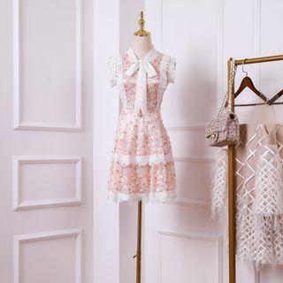 Sleeveless Lace Trim Embroidered A-line Mini Dress
