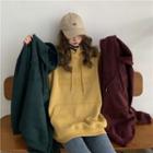 Embroidered Plain Fleece-lined Hoodie