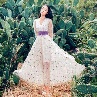 Dotted Long-sleeve A-line Maxi Mesh Dress