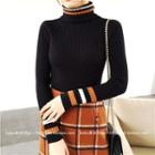 Striped Turtleneck Knit Top