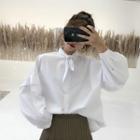 Tie Neck Ruffled-trim Long Sleeve Blouse White - One Size