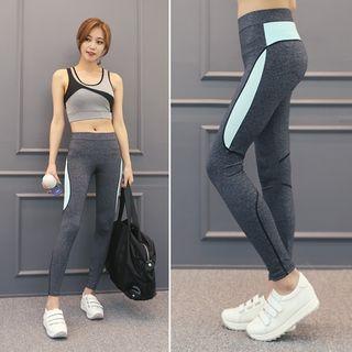Contrast Mesh-trim M Lange Sports Leggings
