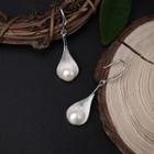 925 Sterling Silver Freshwater Pearl Drop Earring 1 Pair - Drop Earring - One Size