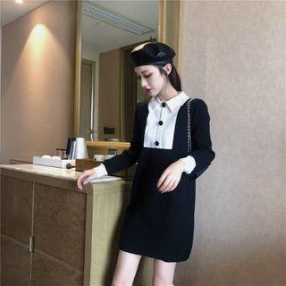 Paneled A-line Polo Knit Dress