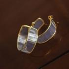 Transparent Hoop Earrings Gold - One Size