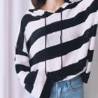Striped Sheer Knit Hoodie