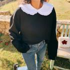 Contrast Peter Pan Collar Cropped Top