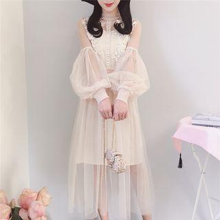 Set: Plain Slipdress + Applique Long-sleeve Midi Mesh Dress