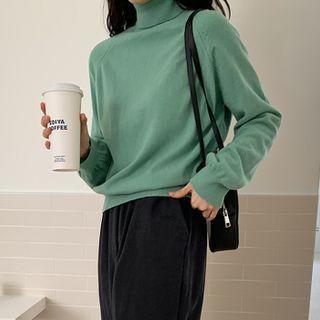 Raglan-sleeve Turtleneck Plain Sweater