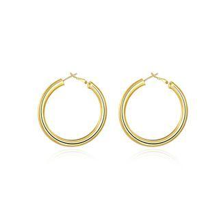 Fashion Plated Gold Round Earrings Golden - One Size