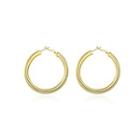 Fashion Plated Gold Round Earrings Golden - One Size