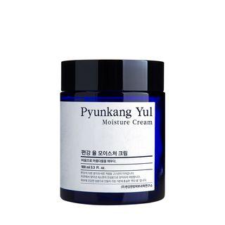 Pyunkang Yul - Moisture Cream 100ml 100ml