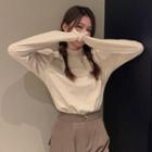 Plain Semi High-neck Long-sleeve T-shirt T-shirt - Almond - One Size