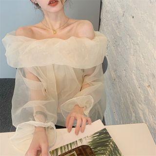 Long-sleeve Sheer Top Beige - One Size