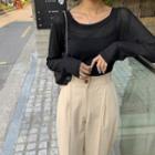 Dip-back Round-hem Sheer T-shirt