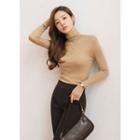 Turtle-neck Sheer Textured Knit Top