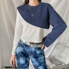 Long Sleeve Panel Knit Top