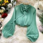 Long-sleeve Tie-neck Pleated Blouse