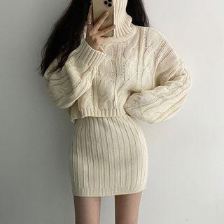 Set: Cropped Turtleneck Sweater + Knit Mini Fitted Skirt
