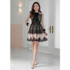 Tulle Lace Flare Dress (no Brooch)