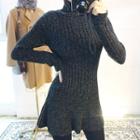 Turtle-neck Rib-knit A-line Mini Dress