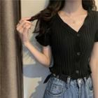 Short-sleeve V-neck Slim-fit Knit Top