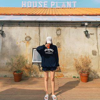 Set: Letter Print Pullover + Sweat Shorts