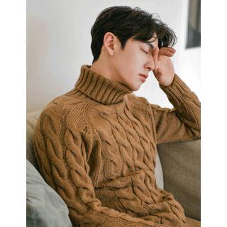 Turtle-neck Colored Cable-knit Sweater