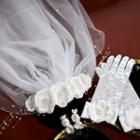 Wedding Flower Veil / Gloves / Earring