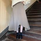 Irregular Pleated Skirt