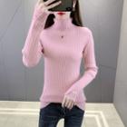 Long Sleeve Turtle Neck Lace Trim Sweater