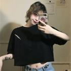 Short-sleeve Feather Embroidered Cropped T-shirt