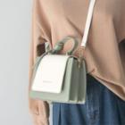 Contrast Color Flap Crossbody Bag
