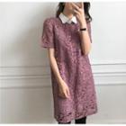 Short Sleeve Collared Lace Dress