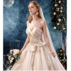 Off Shoulder A-line Wedding Gown / Trained Wedding Gown