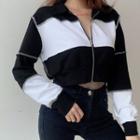 Two-tone Zip-up Cropped Jacket