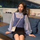 Sheer Puff-sleeve Blouse / Knit Vest