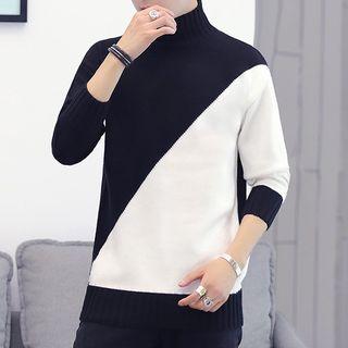 Turtleneck Contrast Panel Sweater