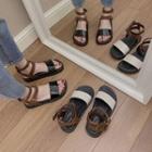 Double Buckled Sandals