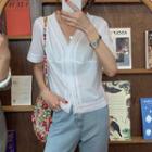 Lace-trim V-neck Short-sleeve Blouse