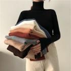 Turtleneck Slim-fit Knit Top In 9 Colors