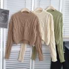 Turtleneck Hemp Pattern Long-sleeve Knit Sweater