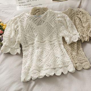 Short-sleeve Open-knit Crop Top