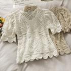 Short-sleeve Open-knit Crop Top
