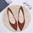 Pointy Woven Flats