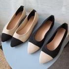 Pointed Color Block Knit Flats
